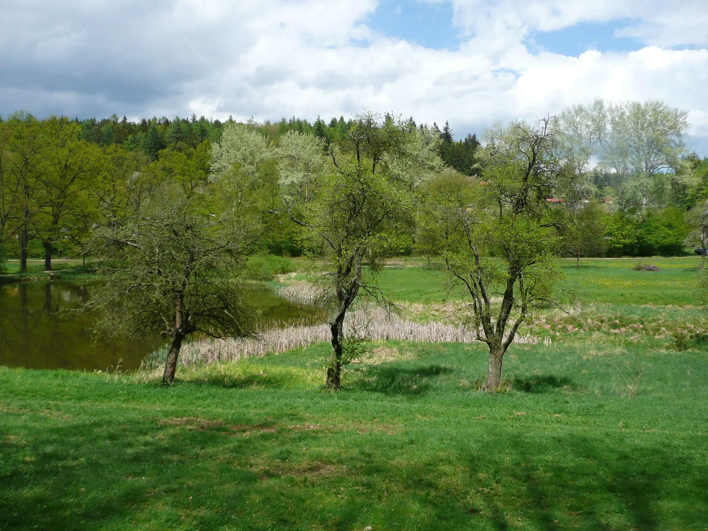 Rybník Bašta